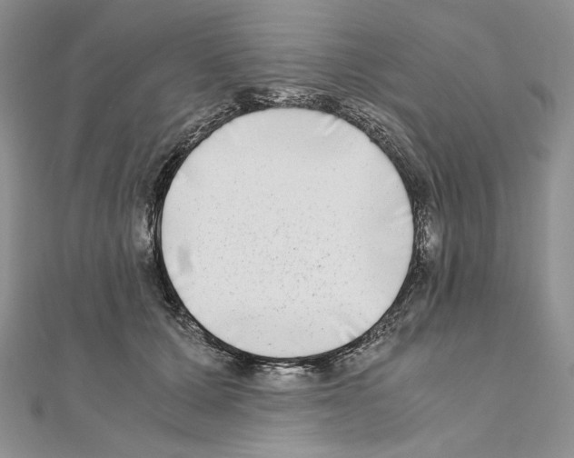 X0000111010607200907311053