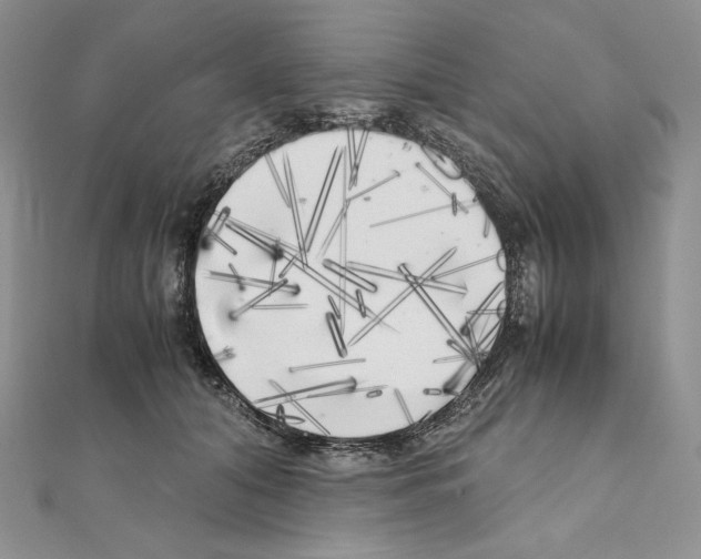 X0000111010608200907311053