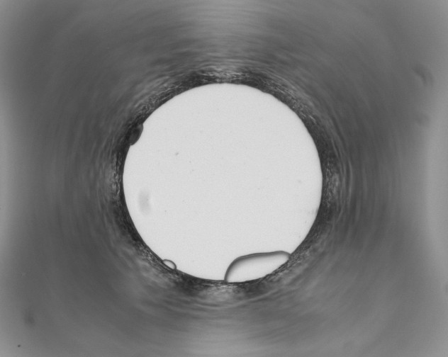 X0000111010609200907311053