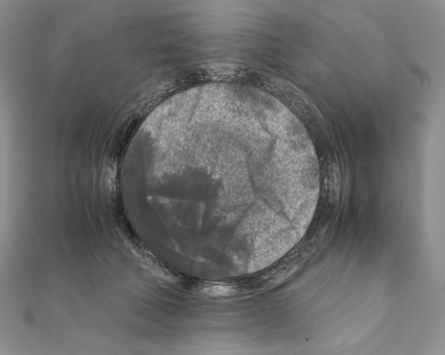 X0000111010610200907311053