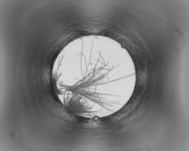 X0000111010612200907311053