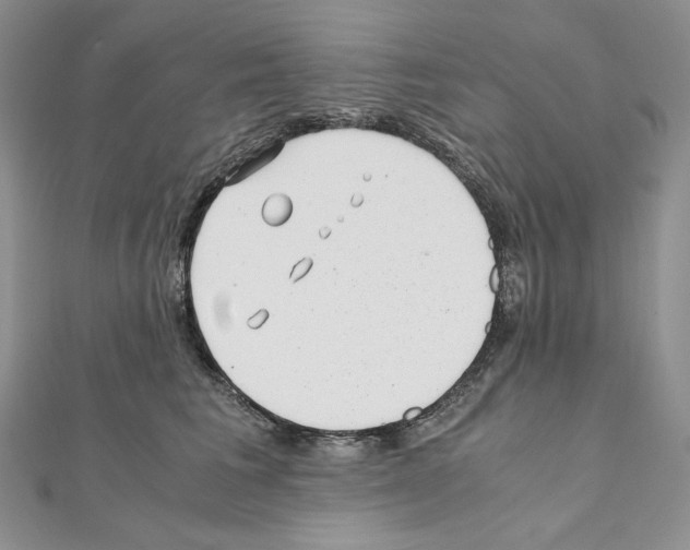 X0000111010613200907311053