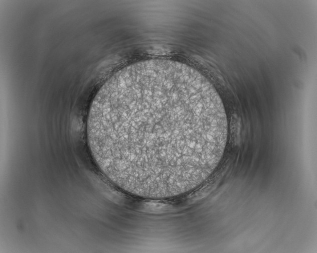 X0000111010614200907311053