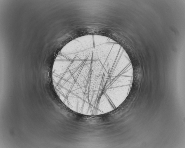 X0000111010615200907311053