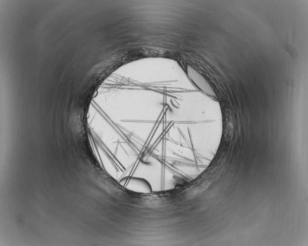 X0000111010616200907311053