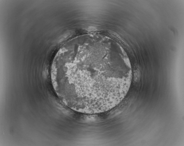 X0000111010618200907311053