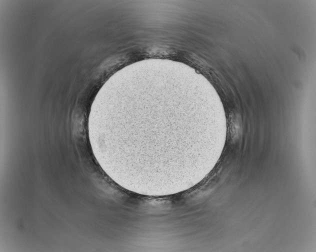 X0000111010619200907311053