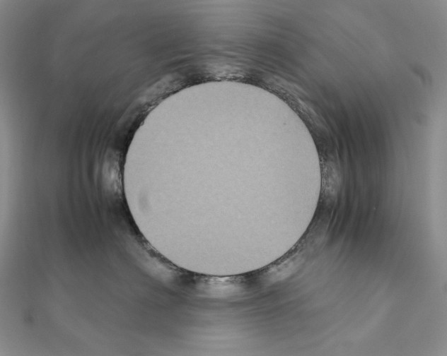 X0000111010622200907311053