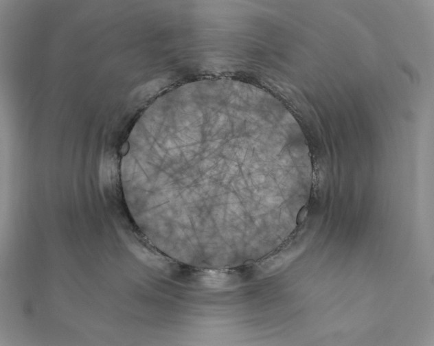 X0000111010623200907311053