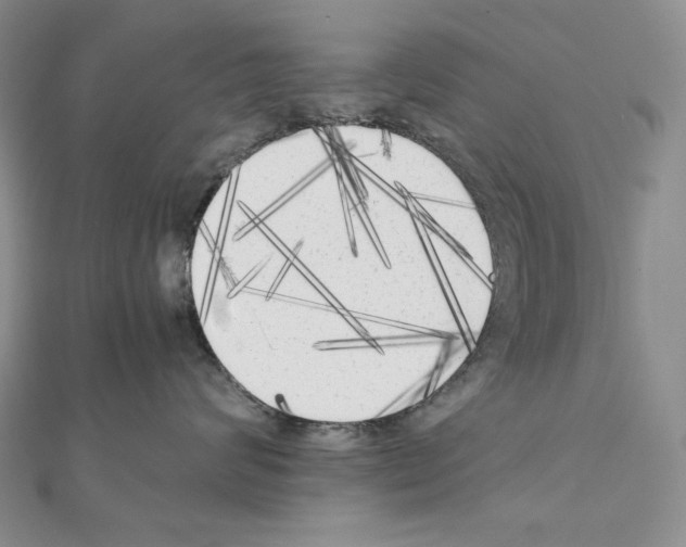 X0000111010624200907311053