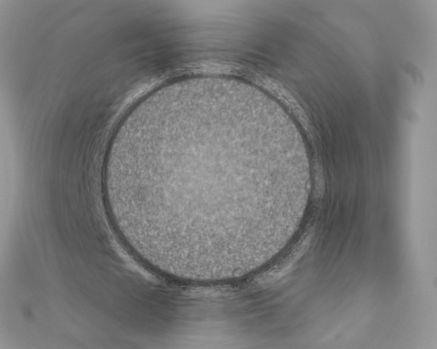 X0000111010625200907311052