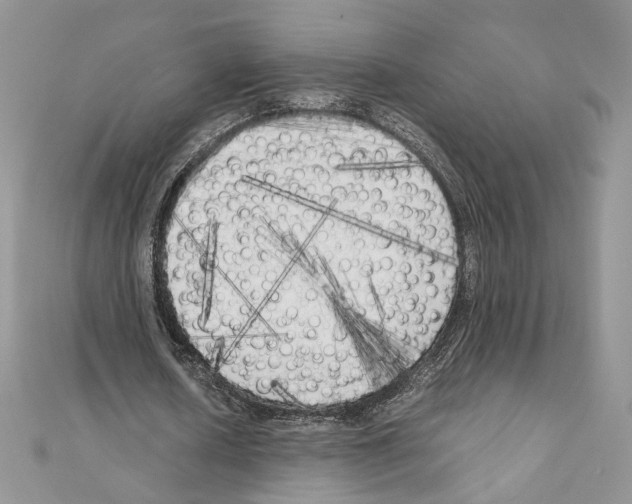X0000111010626200907311052