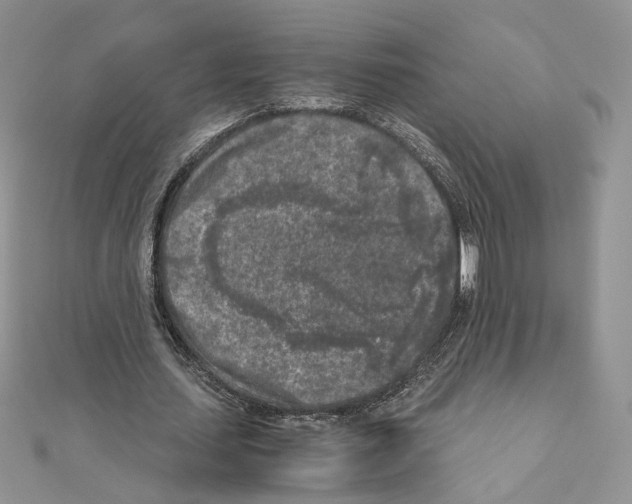 X0000111010627200907311052