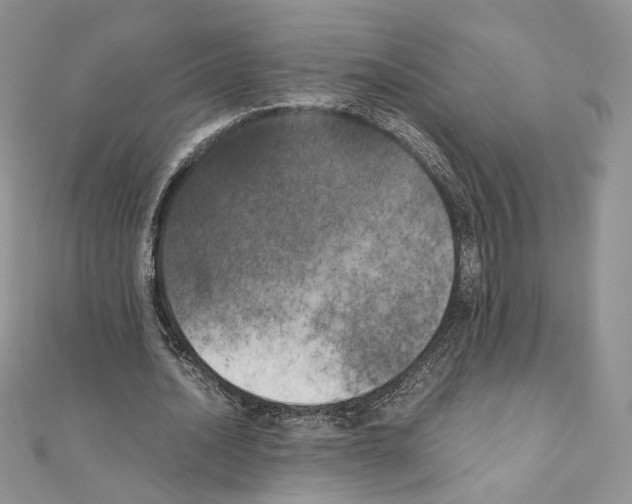 X0000111010628200907311052