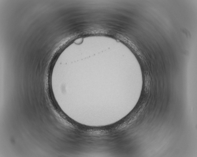 X0000111010629200907311052