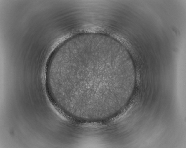 X0000111010630200907311052