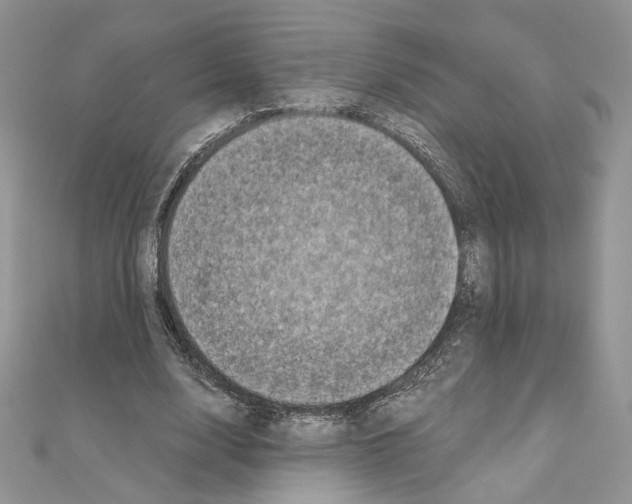 X0000111010632200907311052