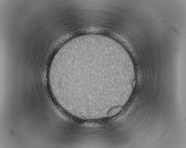 X0000111010633200907311052