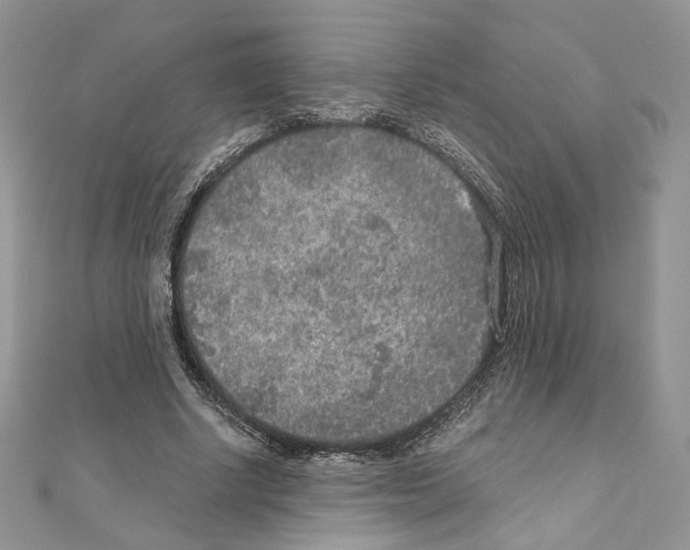 X0000111010634200907311052