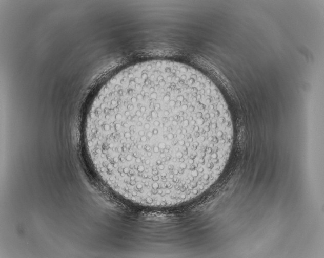 X0000111010635200907311052