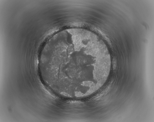 X0000111010637200907311052