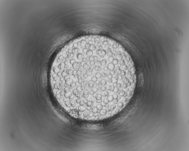 X0000111010638200907311052
