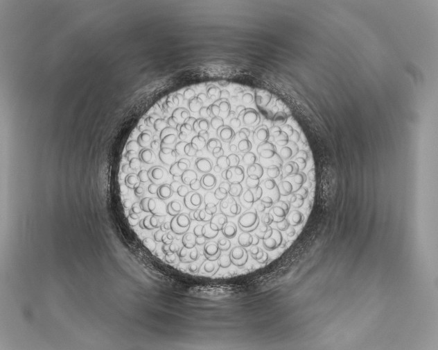 X0000111010639200907311052