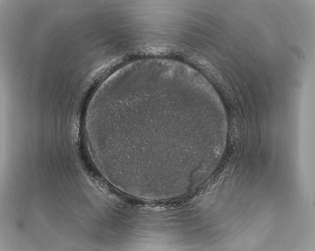 X0000111010640200907311052