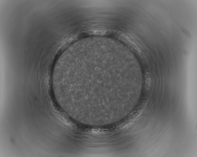 X0000111010641200907311052
