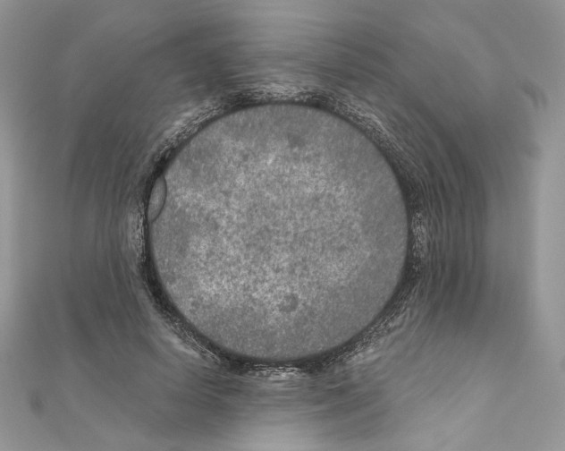 X0000111010642200907311052