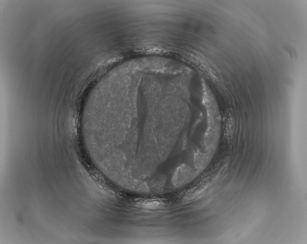X0000111010643200907311052