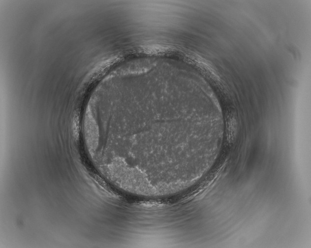 X0000111010644200907311052