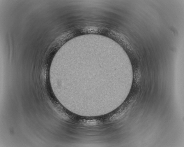 X0000111010645200907311052