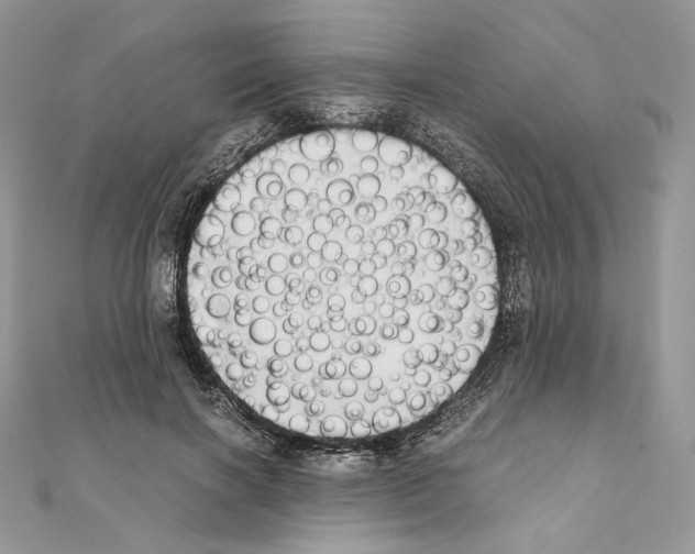 X0000111010646200907311052