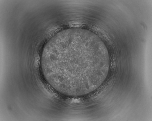 X0000111010647200907311052