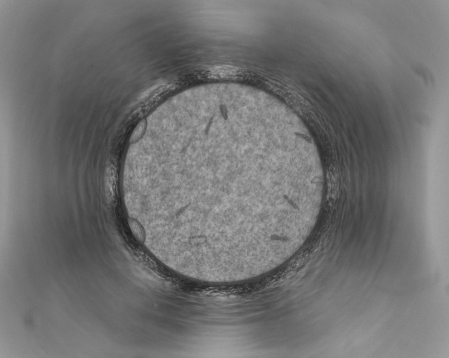 X0000111010648200907311052