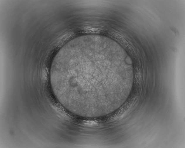 X0000111010649200907311052