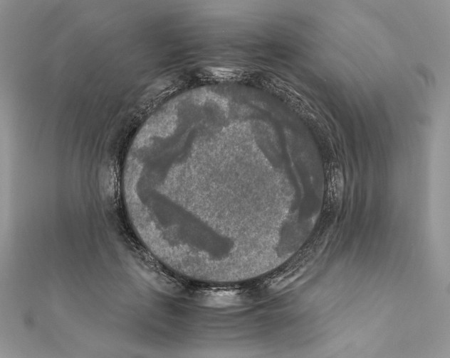 X0000111010651200907311052