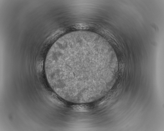 X0000111010652200907311052