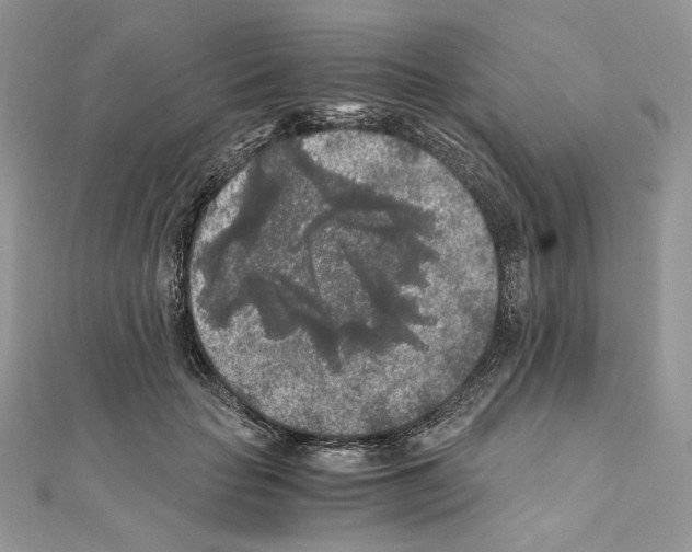 X0000111010653200907311052