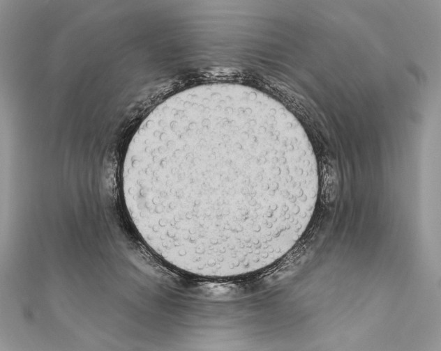 X0000111010654200907311052