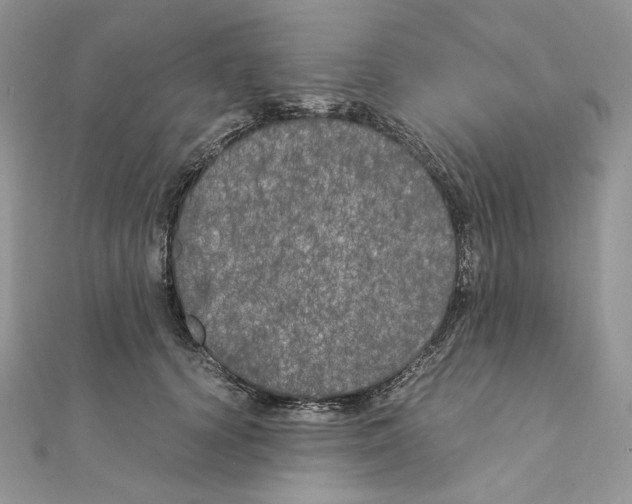 X0000111010656200907311052