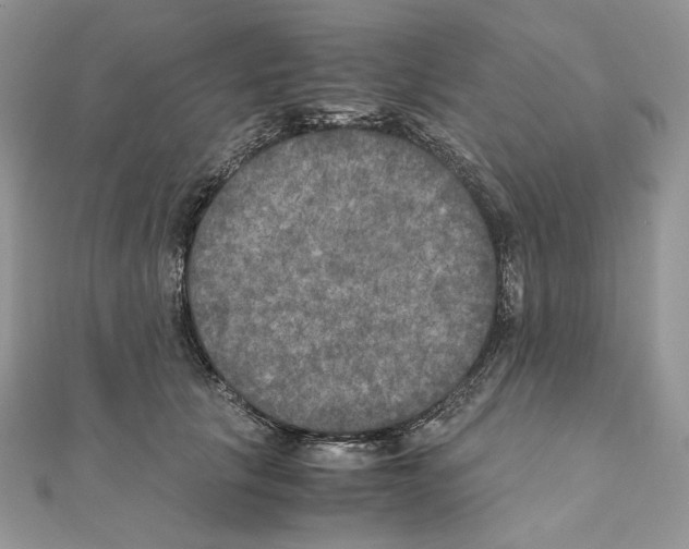 X0000111010657200907311052