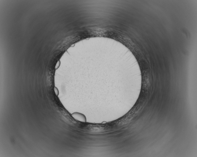 X0000111010658200907311052