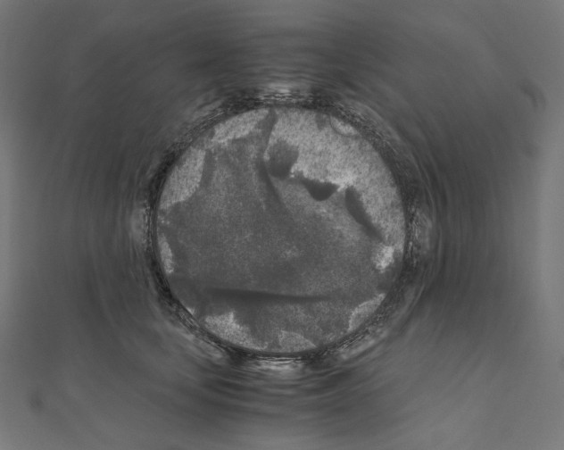 X0000111010659200907311052