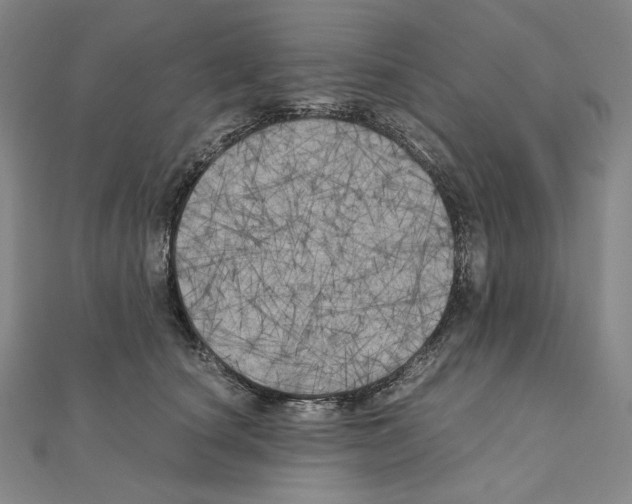 X0000111010660200907311052