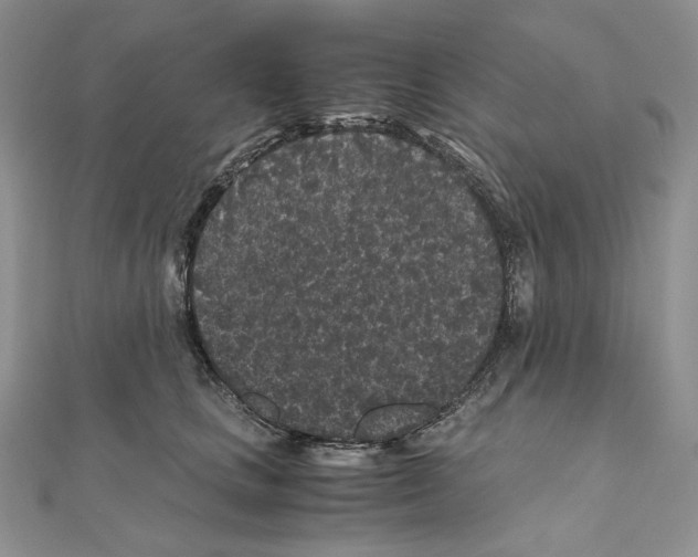 X0000111010661200907311052