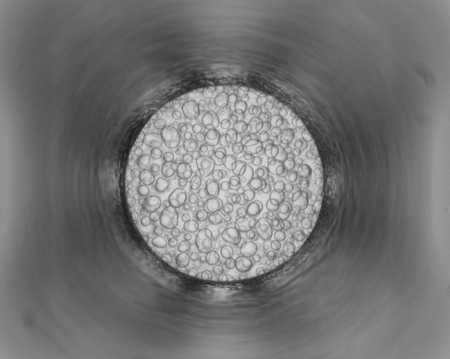 X0000111010662200907311052