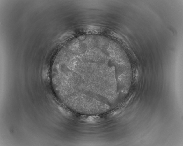 X0000111010663200907311052