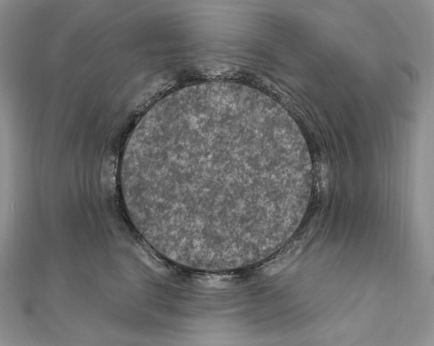 X0000111010664200907311053
